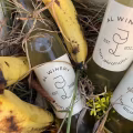 Inside Our Winery: How Banana Wine Is Made
