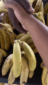 How Banana Wine is Made