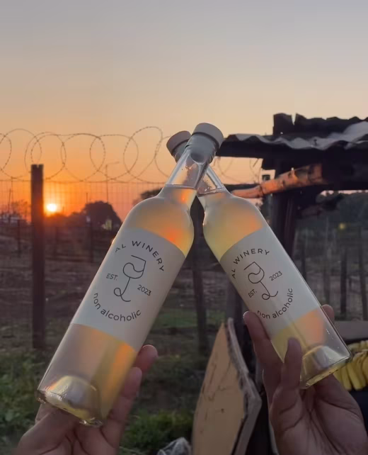 non-alcoholic wine experience